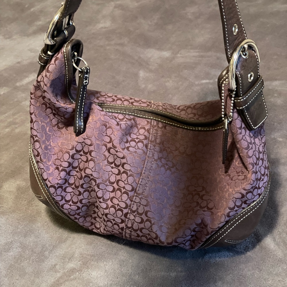 Exquisite Coach handbag in great condition. Slightly used with no defects.